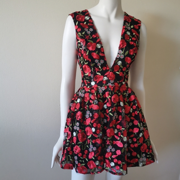 Embroidered Skater Dress - Picture 4 of 6